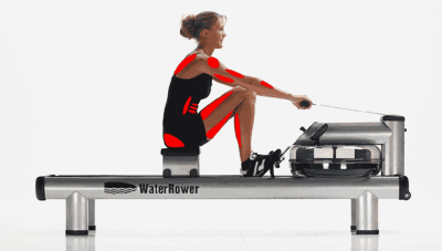 WaterRower - perfektna vadba