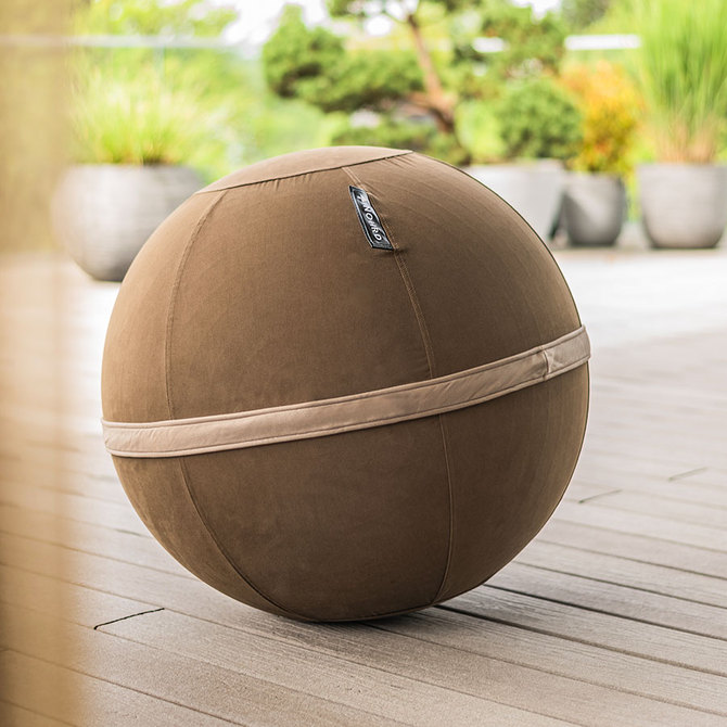 Viva Ball - gimnastična žoga